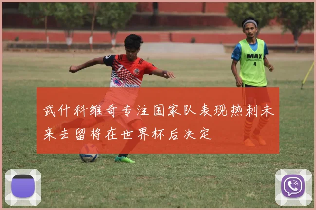 武什科维奇专注国家队表现热刺未来去留将在世界杯后决定