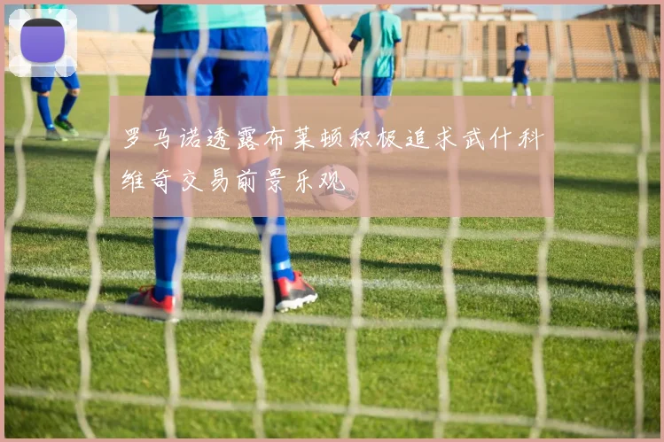 罗马诺透露布莱顿积极追求武什科维奇交易前景乐观
