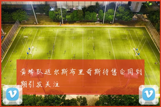 黄蜂队迈尔斯布里奇斯待售合同到期引发关注